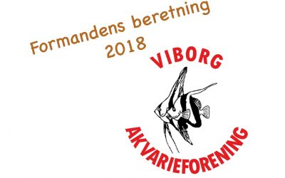 Formandens Beretning 2018