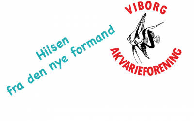 Hilsen fra den ny formand