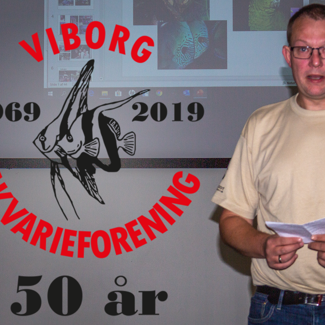 50 års jubilæum – formanden har ordet
