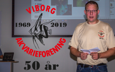 50 års jubilæum – formanden har ordet