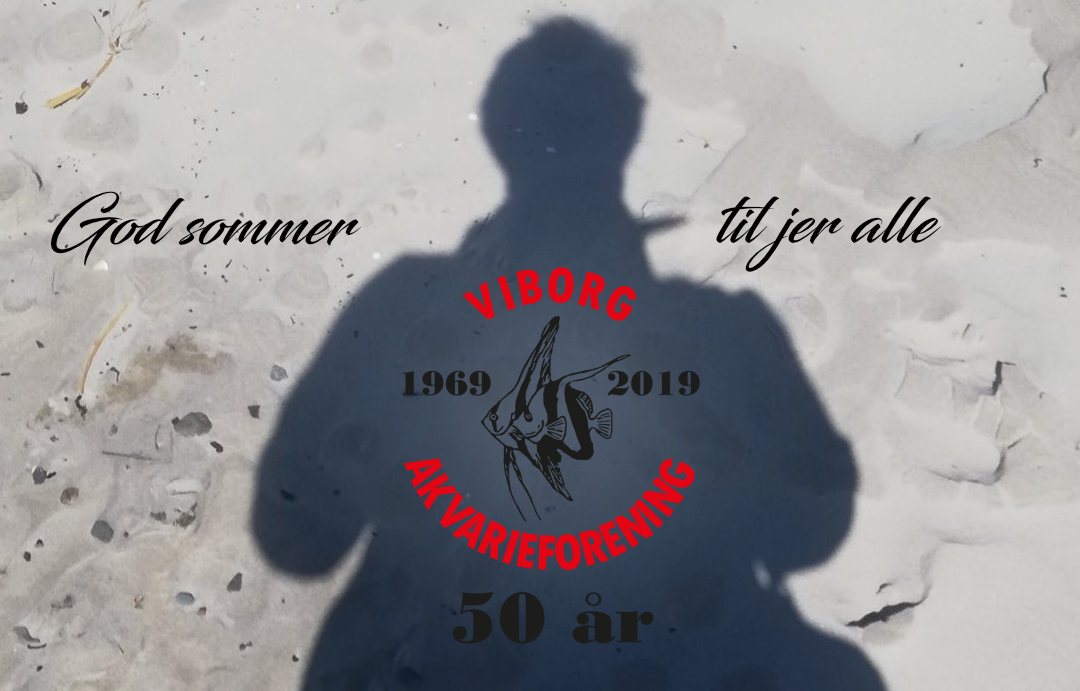 Sommerhilsen 2020
