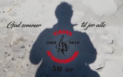 Sommerhilsen 2020